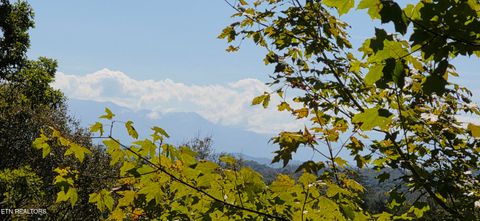 Tiny photo for 2141 Kerr Rd, Sevierville, TN 37876 (MLS # 1316306)