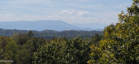 Tiny photo for 2141 Kerr Rd, Sevierville, TN 37876 (MLS # 1316306)