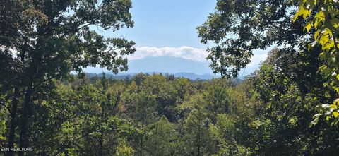 Tiny photo for 2141 Kerr Rd, Sevierville, TN 37876 (MLS # 1316306)