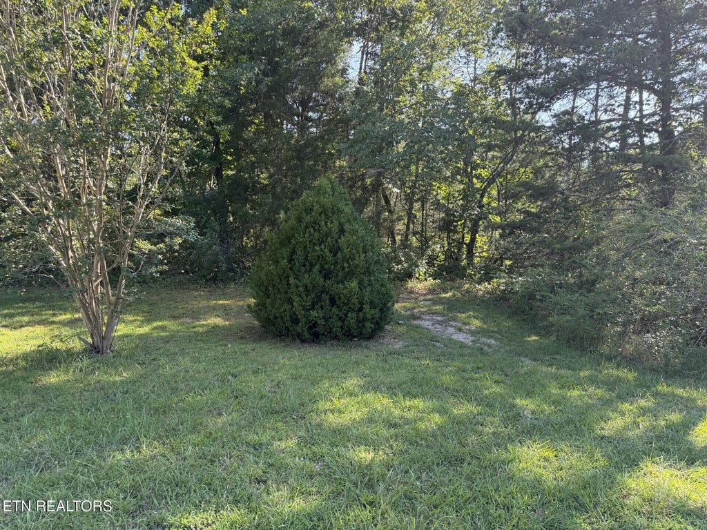 Photo of 11033 Highway 68, Grandview, TN 37337 (MLS # 1350173)