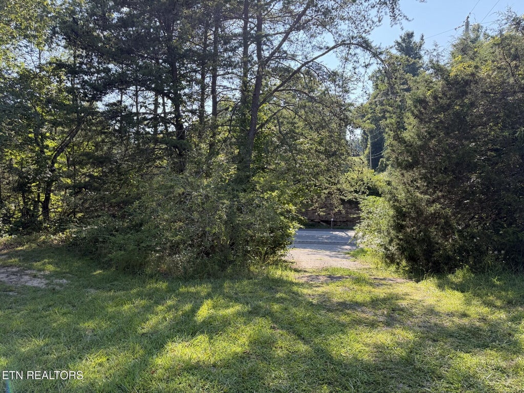 Photo of 11033 Highway 68, Grandview, TN 37337 (MLS # 1350173)