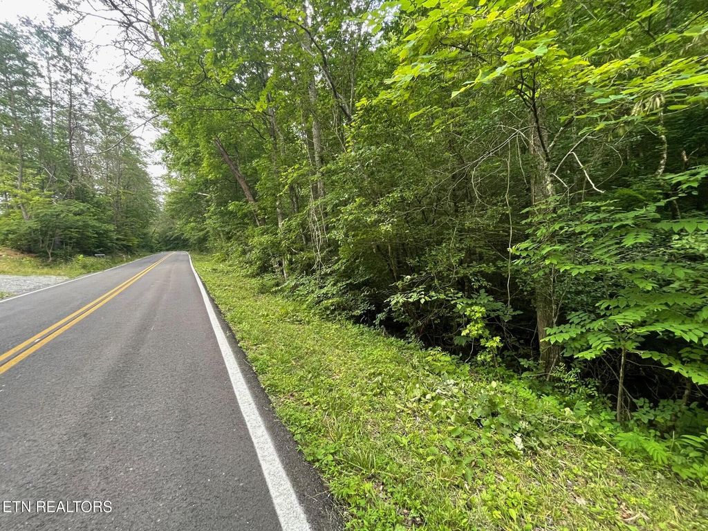Photo of 1477 Old Chilhowee Rd, Seymour, TN 37865 (MLS # 1303578)