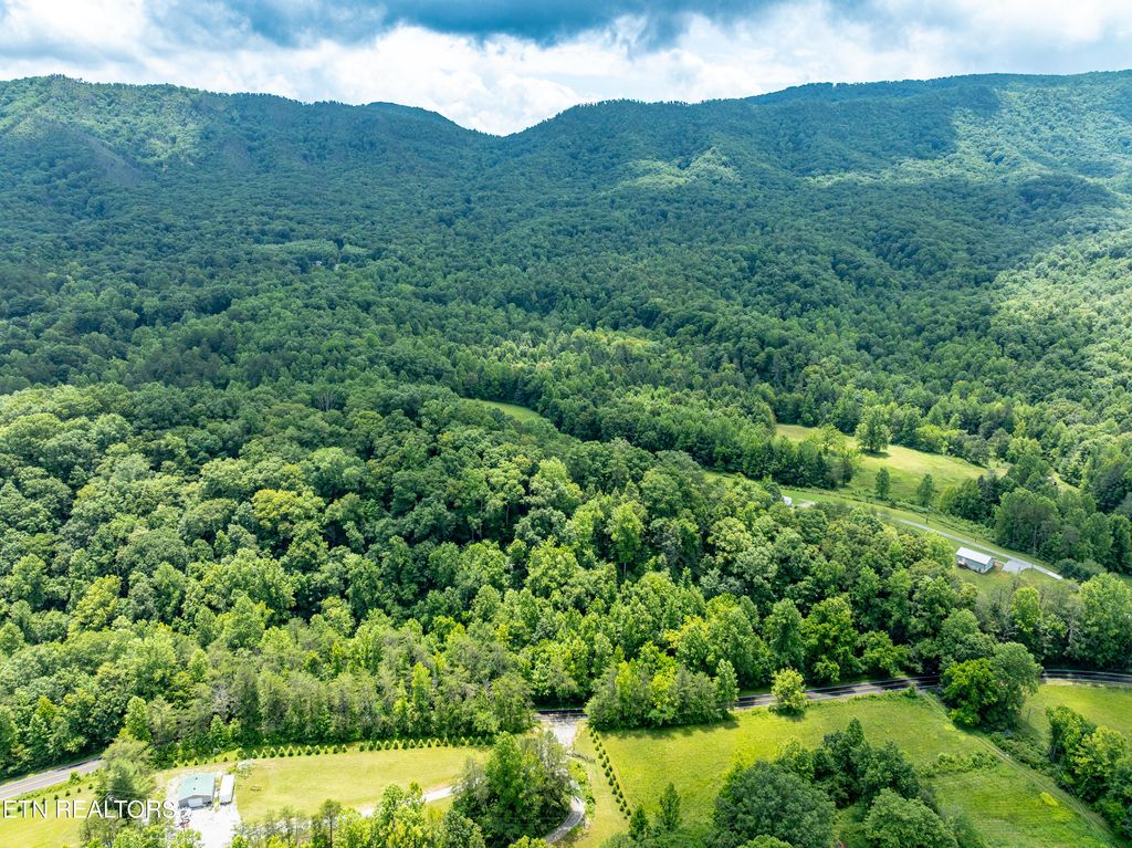 Photo of 1477 Old Chilhowee Rd, Seymour, TN 37865 (MLS # 1303578)