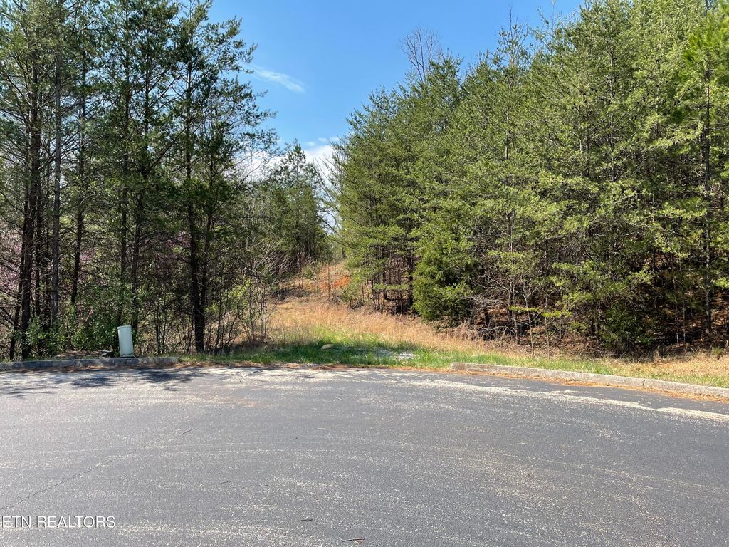 Photo of 128 Copper Still Way, Madisonville, TN 37354 (MLS # 1294848)