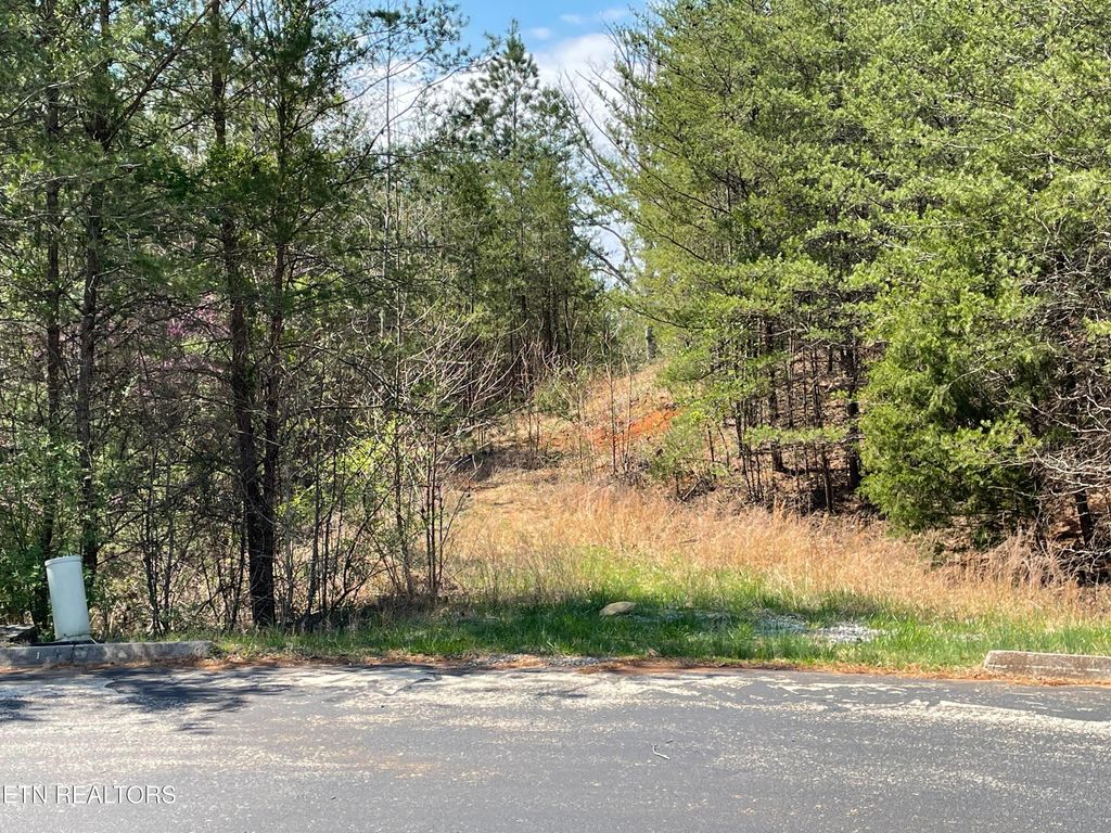 Photo of 128 Copper Still Way, Madisonville, TN 37354 (MLS # 1294848)