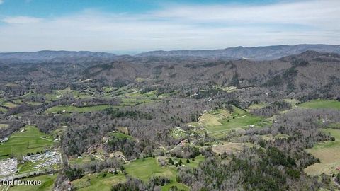 Tiny photo for Wears Valley Rd, Townsend, TN 37882 (MLS # 1296895)