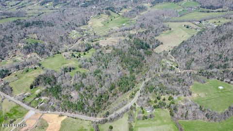 Tiny photo for Wears Valley Rd, Townsend, TN 37882 (MLS # 1296895)