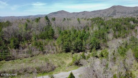 Tiny photo for Wears Valley Rd, Townsend, TN 37882 (MLS # 1296895)
