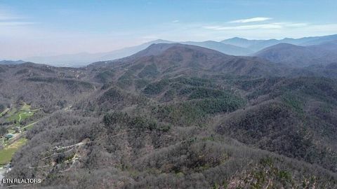 Tiny photo for Wears Valley Rd, Townsend, TN 37882 (MLS # 1296895)