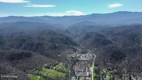 Tiny photo for Wears Valley Rd, Townsend, TN 37882 (MLS # 1296895)