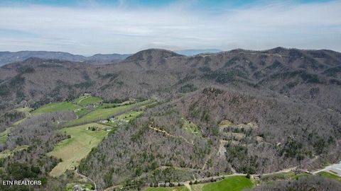 Tiny photo for Wears Valley Rd, Townsend, TN 37882 (MLS # 1296895)