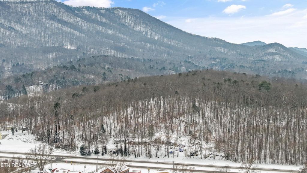 Photo of 4532 E Lamar Alex Pkwy, Walland, TN 37886 (MLS # 1328559)