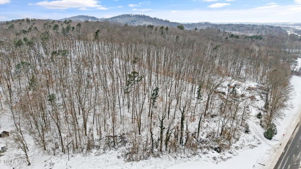 Photo of 4532 E Lamar Alex Pkwy, Walland, TN 37886 (MLS # 1328559)