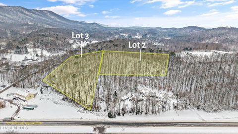 4532 E Lamar Alex Pkwy Walland TN 37886