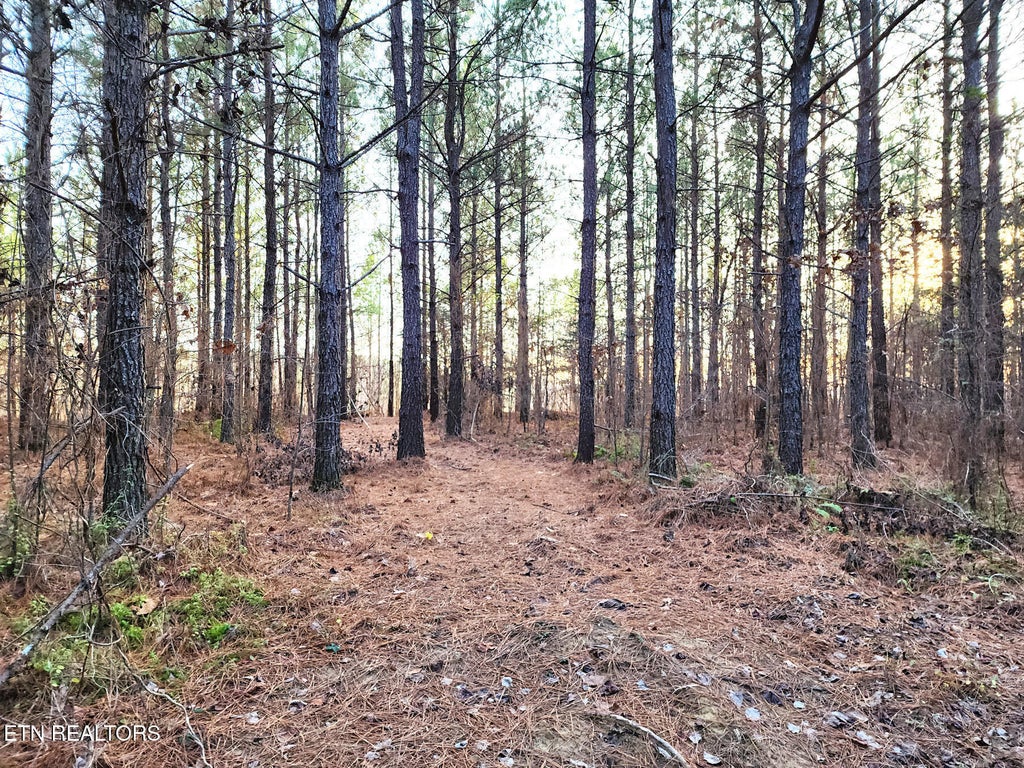 Photo of 27 West Robbins Rd, Robbins, TN 37852 (MLS # 1289314)