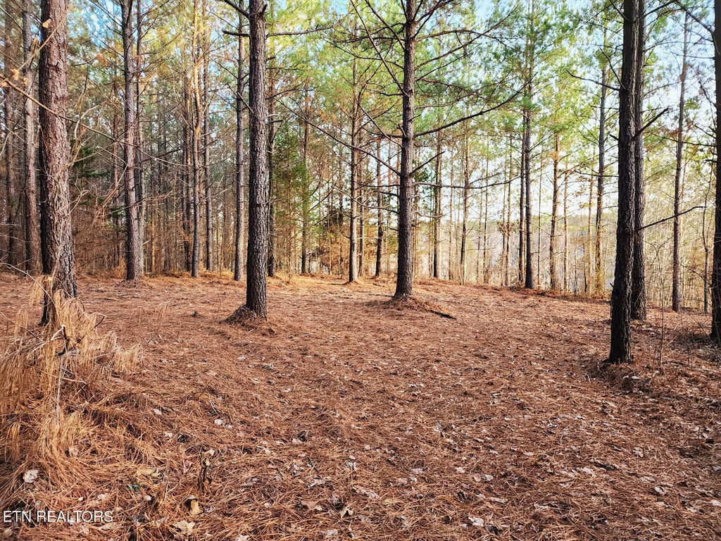 Photo of 27 West Robbins Rd, Robbins, TN 37852 (MLS # 1289314)