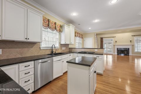 Tiny photo for 1111 Highgrove Garden Way, Knoxville, TN 37922 (MLS # 1330596)