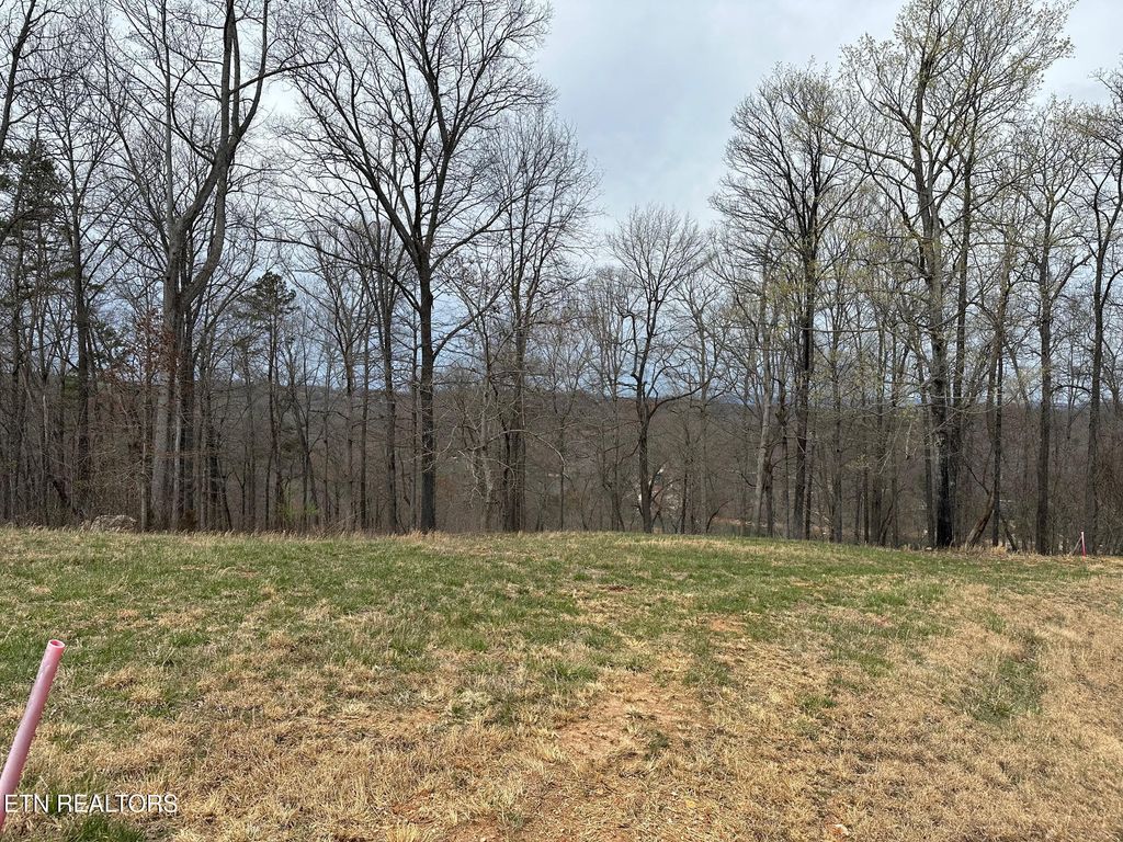 Photo of 605 N Two Rivers Ln, LaFollette, TN 37766 (MLS # 1294824)
