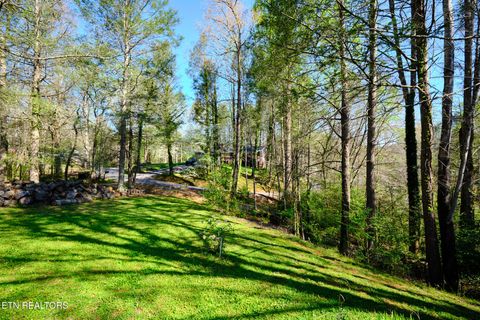 Tiny photo for 543 Reba Lane, Gatlinburg, TN 37738 (MLS # 1336996)