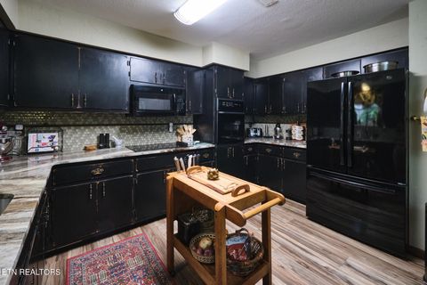 Tiny photo for 543 Reba Lane, Gatlinburg, TN 37738 (MLS # 1336996)