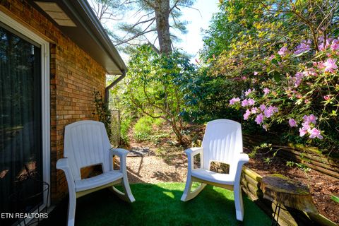 Tiny photo for 543 Reba Lane, Gatlinburg, TN 37738 (MLS # 1336996)