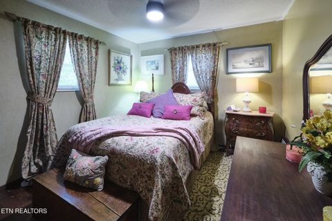 Tiny photo for 543 Reba Lane, Gatlinburg, TN 37738 (MLS # 1336996)