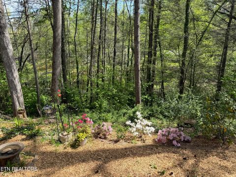 Tiny photo for 543 Reba Lane, Gatlinburg, TN 37738 (MLS # 1336996)