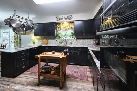 Tiny photo for 543 Reba Lane, Gatlinburg, TN 37738 (MLS # 1336996)