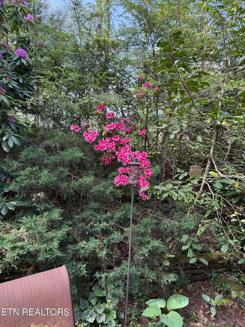 Tiny photo for 543 Reba Lane, Gatlinburg, TN 37738 (MLS # 1336996)