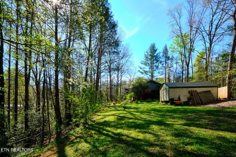 Tiny photo for 543 Reba Lane, Gatlinburg, TN 37738 (MLS # 1336996)