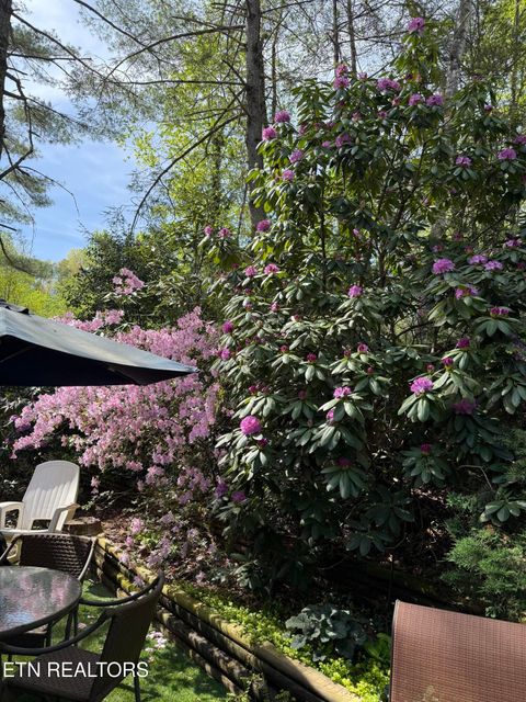 Tiny photo for 543 Reba Lane, Gatlinburg, TN 37738 (MLS # 1336996)