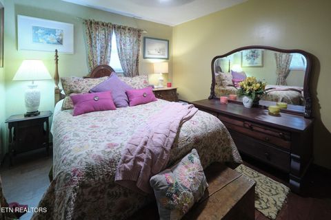 Tiny photo for 543 Reba Lane, Gatlinburg, TN 37738 (MLS # 1336996)