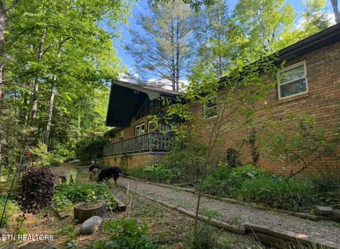 Tiny photo for 543 Reba Lane, Gatlinburg, TN 37738 (MLS # 1336996)