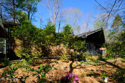 Photo of 543 Reba Lane, Gatlinburg, TN 37738 (MLS # 1336996)