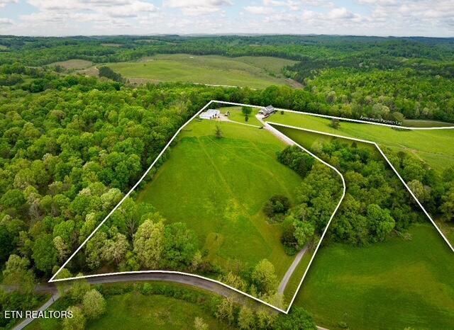 291 County Road 275