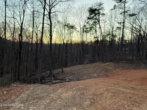 Photo of Island Ford Rd, Rocky Top, TN 37769 (MLS # 1331802)