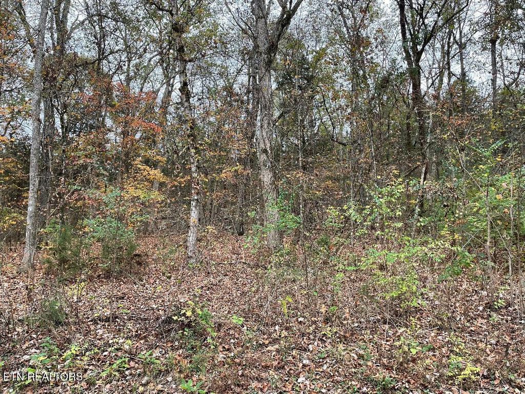 Photo of 0 Channel Drive, Louisville, TN 37777 (MLS # 1282734)