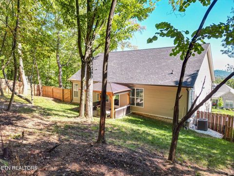 Tiny photo for 8125 Vassar Lane, Knoxville, TN 37938 (MLS # 1317669)