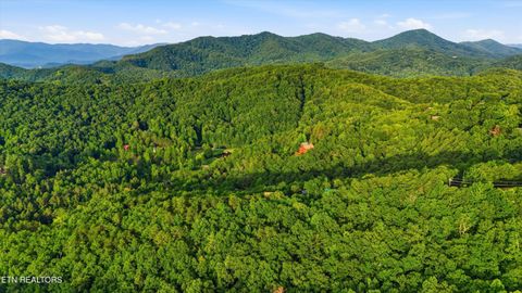 Tiny photo for 2624 Blanket Mountain Way, Sevierville, TN 37862 (MLS # 1347838)