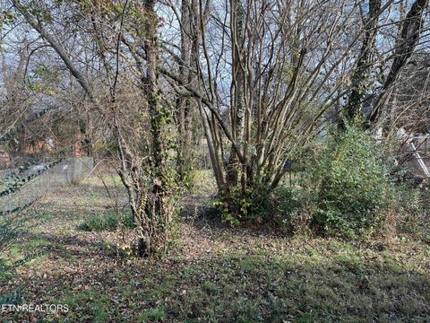 Tiny photo for 314 Ben Hur Ave, Knoxville, TN 37915 (MLS # 1324256)