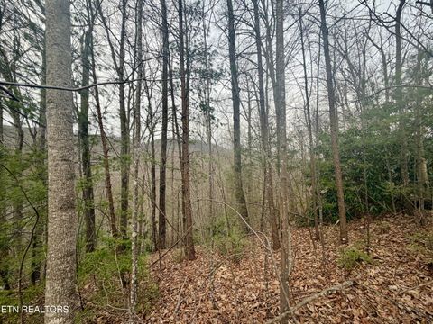 Tiny photo for 6 Thissa Way, Gatlinburg, TN 37738 (MLS # 1330869)