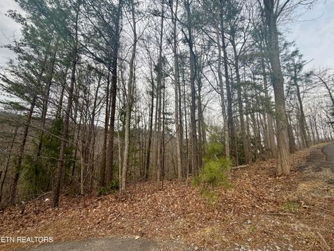 Tiny photo for 6 Thissa Way, Gatlinburg, TN 37738 (MLS # 1330869)
