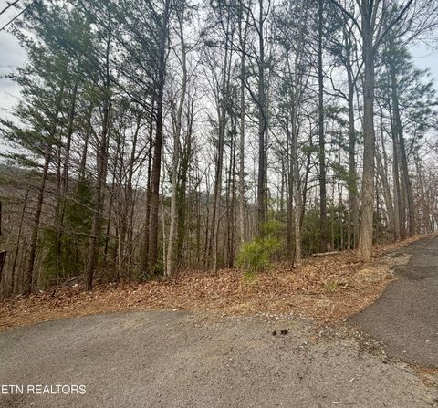 Tiny photo for 6 Thissa Way, Gatlinburg, TN 37738 (MLS # 1330869)