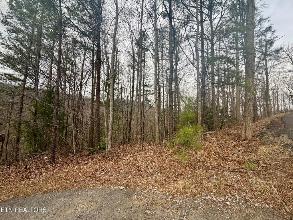 Photo of 6 Thissa Way, Gatlinburg, TN 37738 (MLS # 1330869)