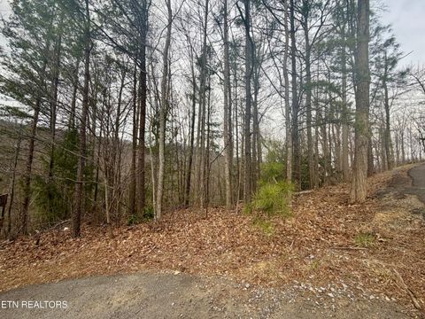 Tiny photo for 6 Thissa Way, Gatlinburg, TN 37738 (MLS # 1330869)