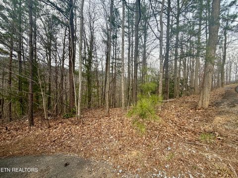 Tiny photo for 6 Thissa Way, Gatlinburg, TN 37738 (MLS # 1330869)