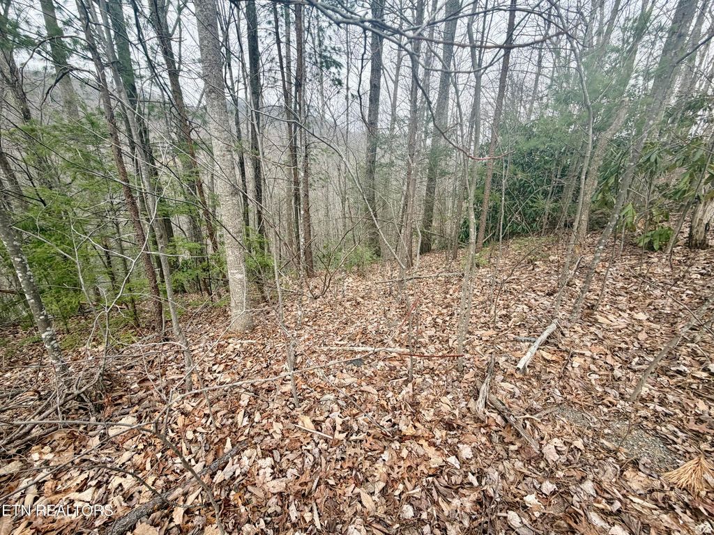 Photo of 6 Thissa Way, Gatlinburg, TN 37738 (MLS # 1330869)