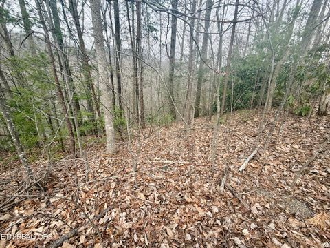 Tiny photo for 6 Thissa Way, Gatlinburg, TN 37738 (MLS # 1330869)