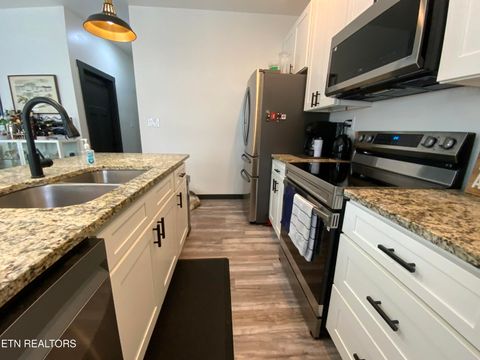 Tiny photo for 325 7Th St, Rocky Top, TN 37769 (MLS # 1328255)