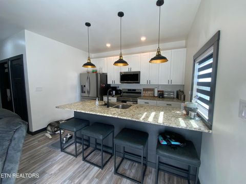 Tiny photo for 325 7Th St, Rocky Top, TN 37769 (MLS # 1328255)